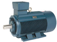 electric motor